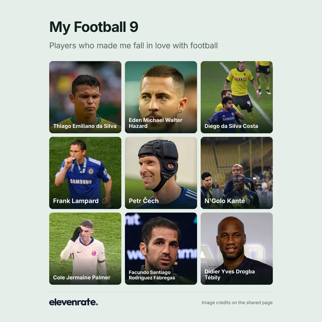 Football grid: Thiago Emiliano da Silva, Eden Michael Walter Hazard, Diego da Silva Costa, Frank Lampard, Petr Čech, N'Golo Kanté, Cole Jermaine Palmer, Facundo Santiago Rodríguez Fábregas, Didier Yves Drogba Tébily